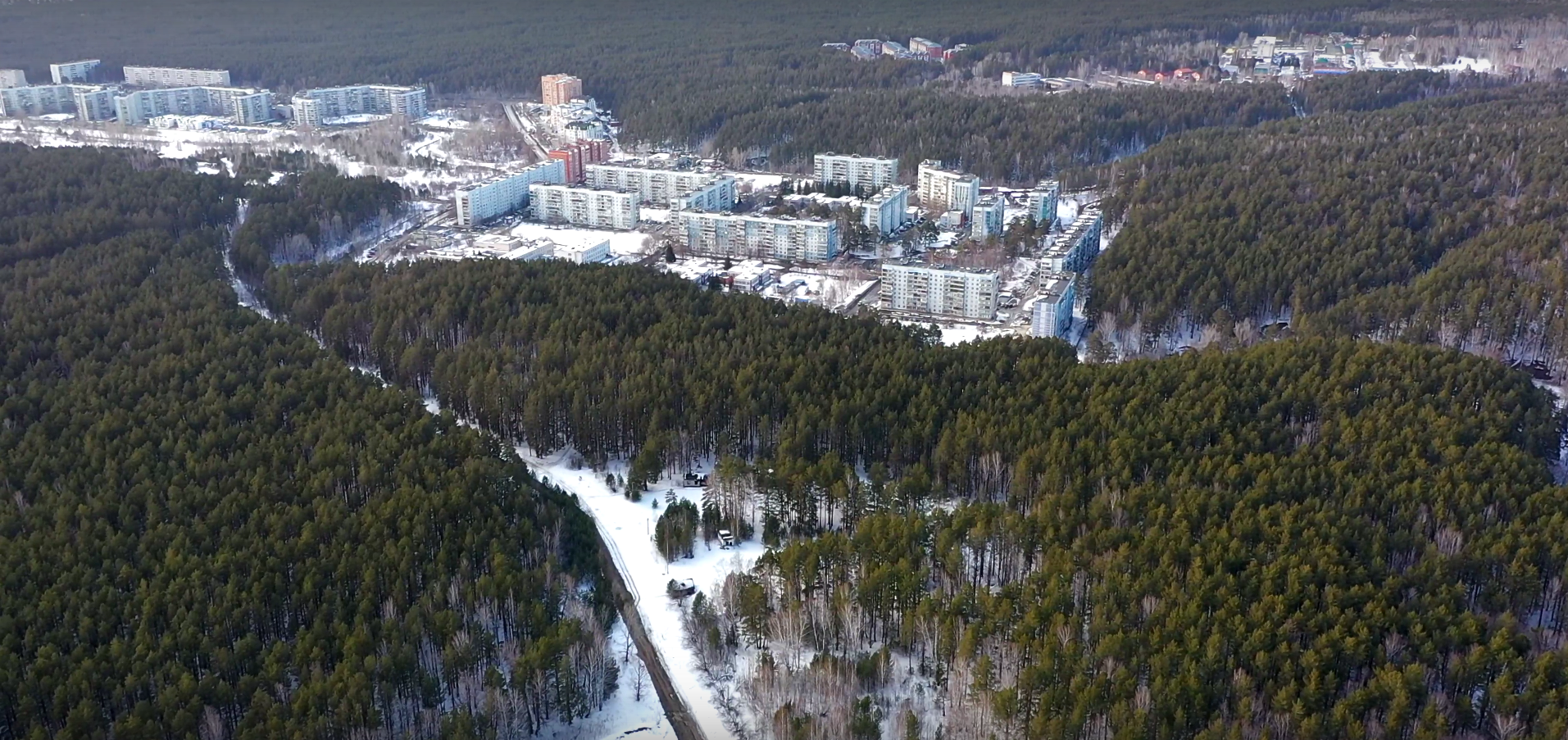 Вырубка в Нижней Ельцовке: история конфликта