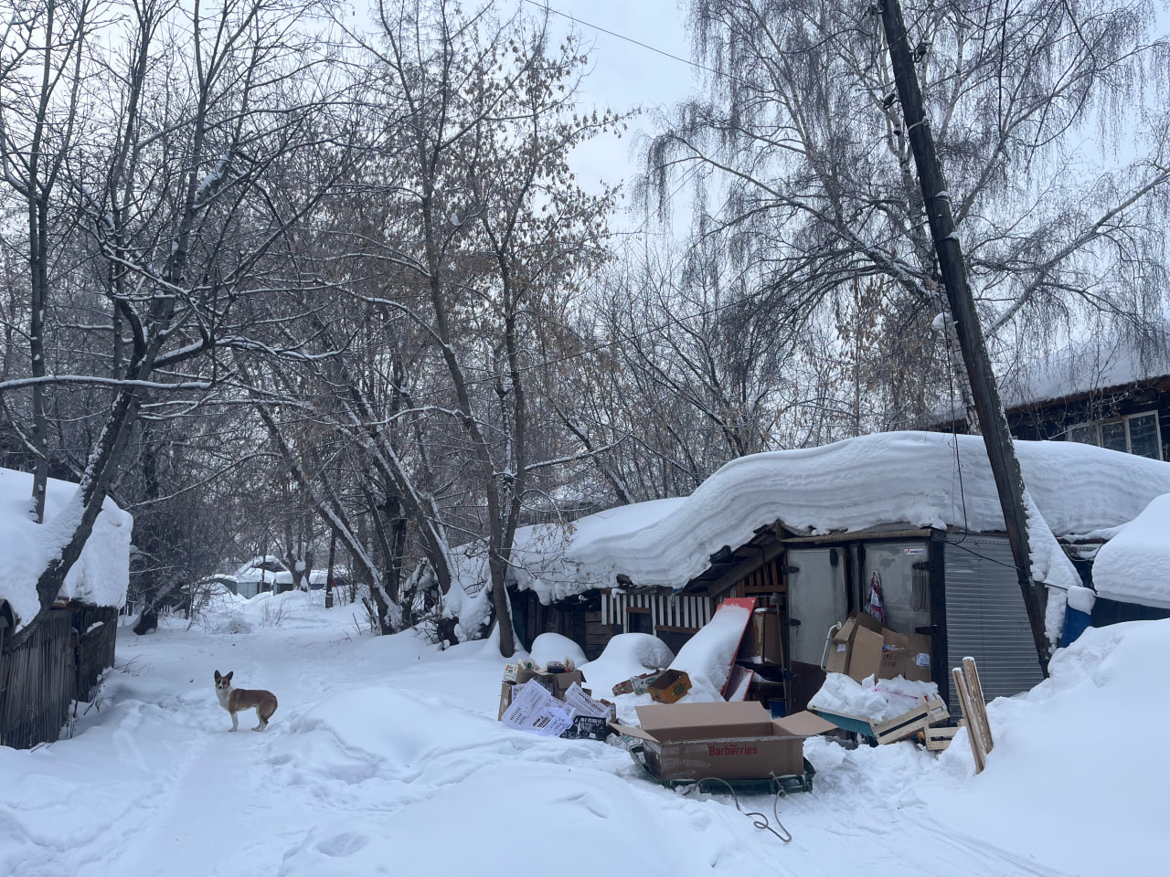 Почему сжигать мусор в частном доме опасно