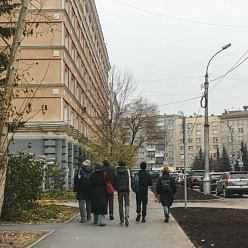Почему деревья на Урицкого нельзя было спасти: разбор конфликта