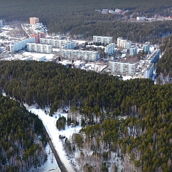 Вырубка в Нижней Ельцовке: история конфликта