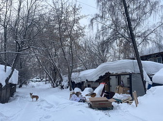 Почему сжигать мусор в частном доме опасно